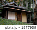 秋、茶室と紅葉狩り 1977939