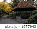 秋、茶室と紅葉狩り 1977942