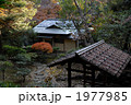 秋、茶室と紅葉狩り 1977985
