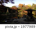 秋、日本庭園で紅葉狩り 1977989