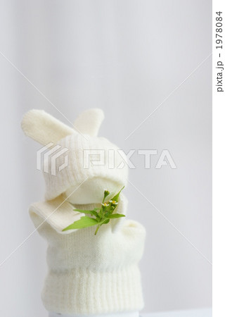 手袋の白ウサギ 手袋の白ウサギ 1978084