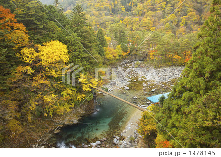岐阜 付知峡 岐阜 付知峡 1978145