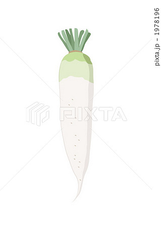 大根 1978196
