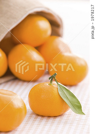 みかん 1978217
