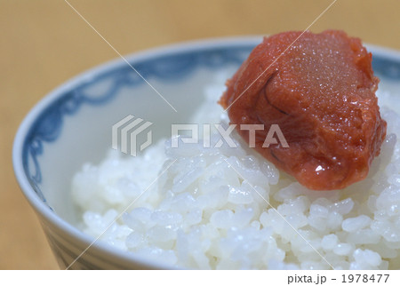たらこでご飯 たらこでご飯 1978477