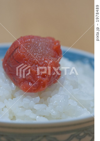 たらこでご飯 1978489