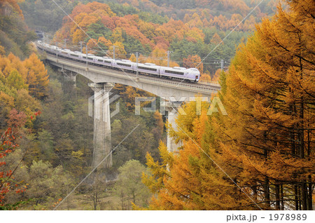 カラマツ林を行くスーパーあずさ 1978989