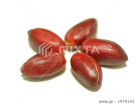 ミラクルフルーツ ミラクルフルーツ 1979142