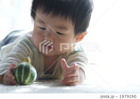 ペポ南瓜で遊ぶ赤ちゃん ペポ南瓜で遊ぶ赤ちゃん 1979260