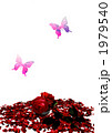 Bloody Rose 1979540