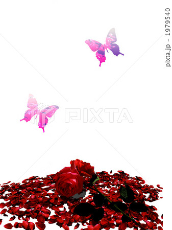 Bloody Rose 1979540