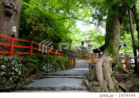 Kibune #3 1979544