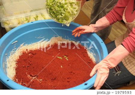 キムチづくり　その２ 1979593