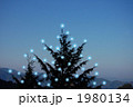 クリスマスツリー 1980134