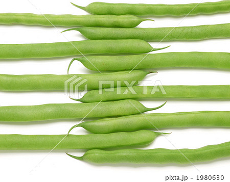 いんげん 1980630