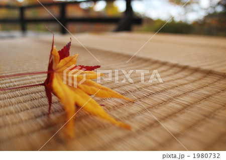 1980732