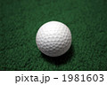 ゴルフボール 1981603