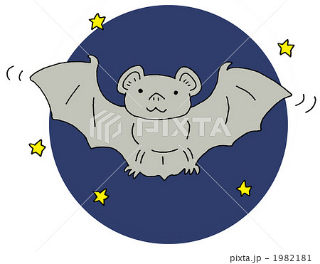 蝙蝠 背景あり 蝙蝠 背景あり 1982181