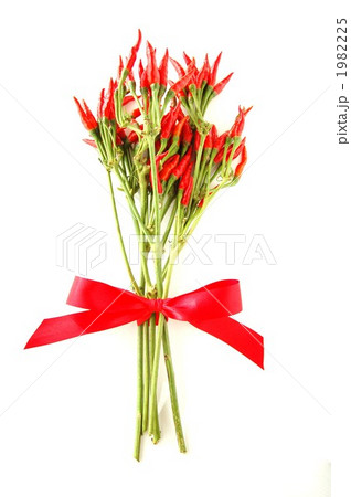 並んだトウガラシ 1982225