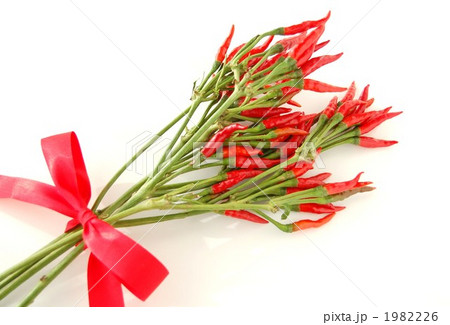 トウガラシのブーケ 1982226