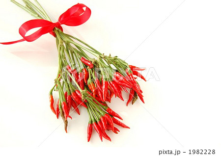 トウガラシのブーケ 1982228