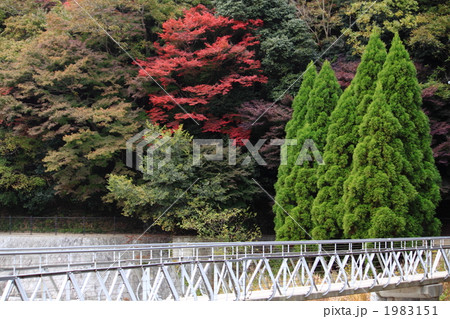 ダムにかかる橋 1983151