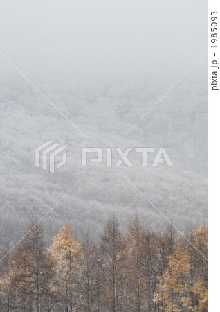 雲と雪山と落葉と 雲と雪山と落葉と 1985093