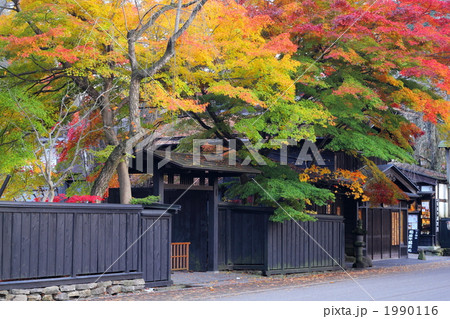 紅葉の角館武家屋敷 1990116