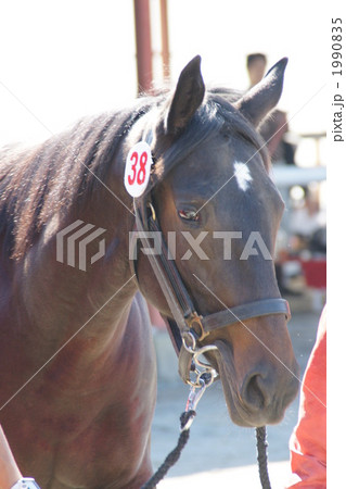 天栄見学会 1990835