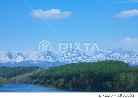 美瑛の春 1991652