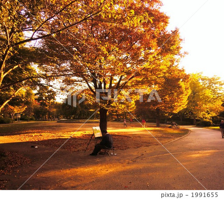 秋の公園 1991655