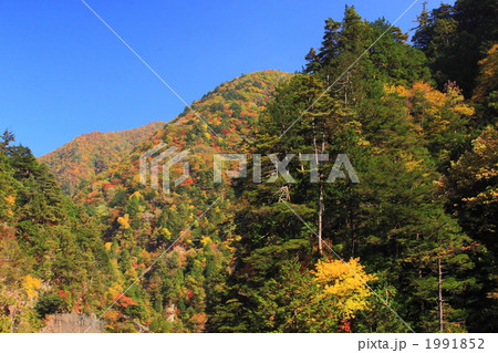秋晴れの川浦渓谷 秋晴れの川浦渓谷 1991852