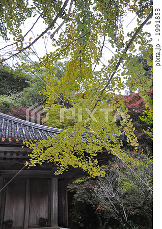 豊後高田市　富貴寺 1991853