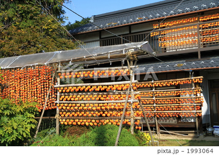 ころがきの里 ころがきの里 1993064