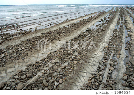 青島の鬼の洗濯板 青島の鬼の洗濯板 1994654