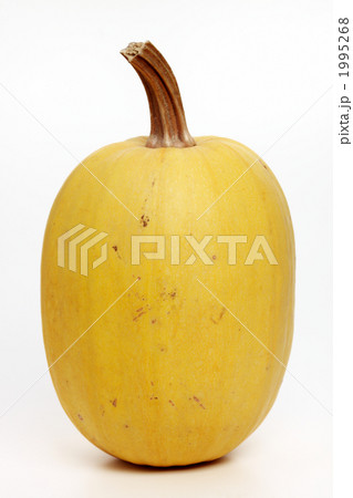 ソウメンカボチャ 1995268