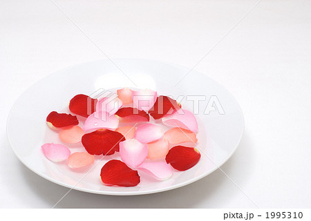皿と水の上に浮かぶバラの花びら 1995310