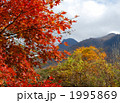 箱根桃源台の紅葉 箱根桃源台の紅葉 1995869