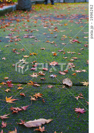 秋の小道 秋の小道 1996262