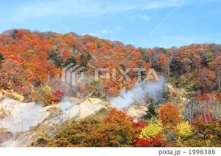 山の紅葉 1996386