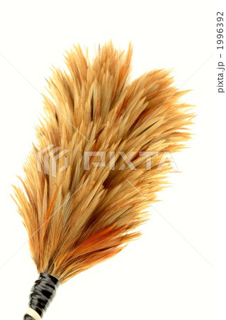毛ばたき　羽ぼうき 1996392