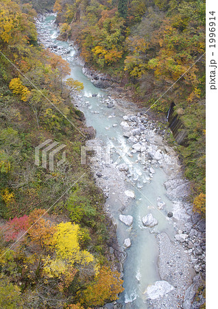 白山スーパー林道　紅葉 1996914