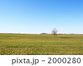 草原の１本木 2000280