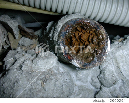 錆こぶ 錆こぶ 2000294
