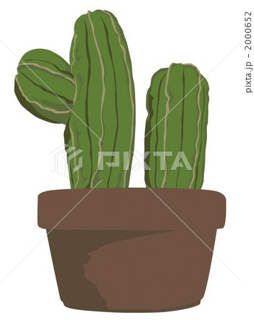 サボテン 2000652
