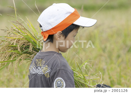 稲刈り体験 2001126