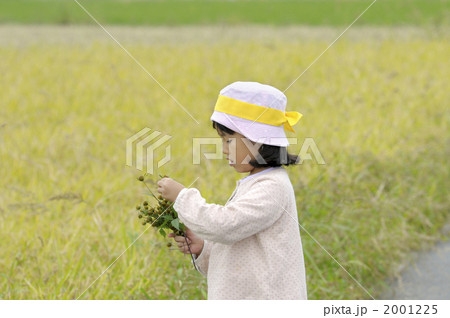 稲刈り体験 2001225