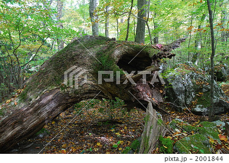 男池 男池 2001844