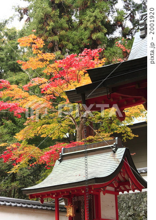 手向山八幡宮境内 2001920