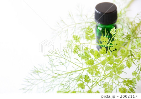 アロマとハーブ 2002117